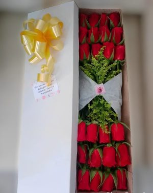 Caja por 24 rosas R54