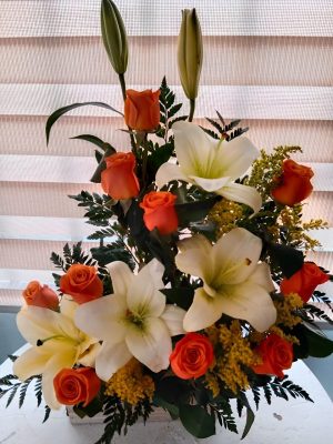 Lirios de Otoño R33